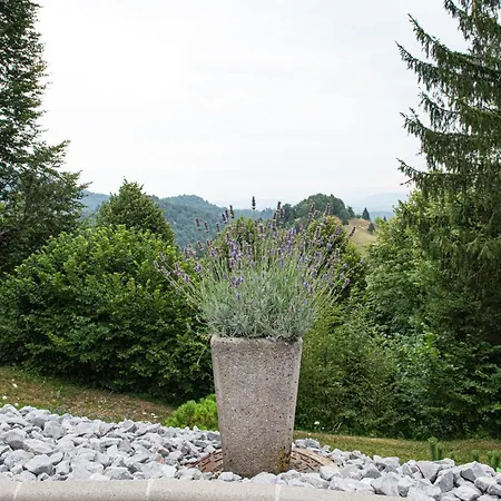 Apartman Apartma 555